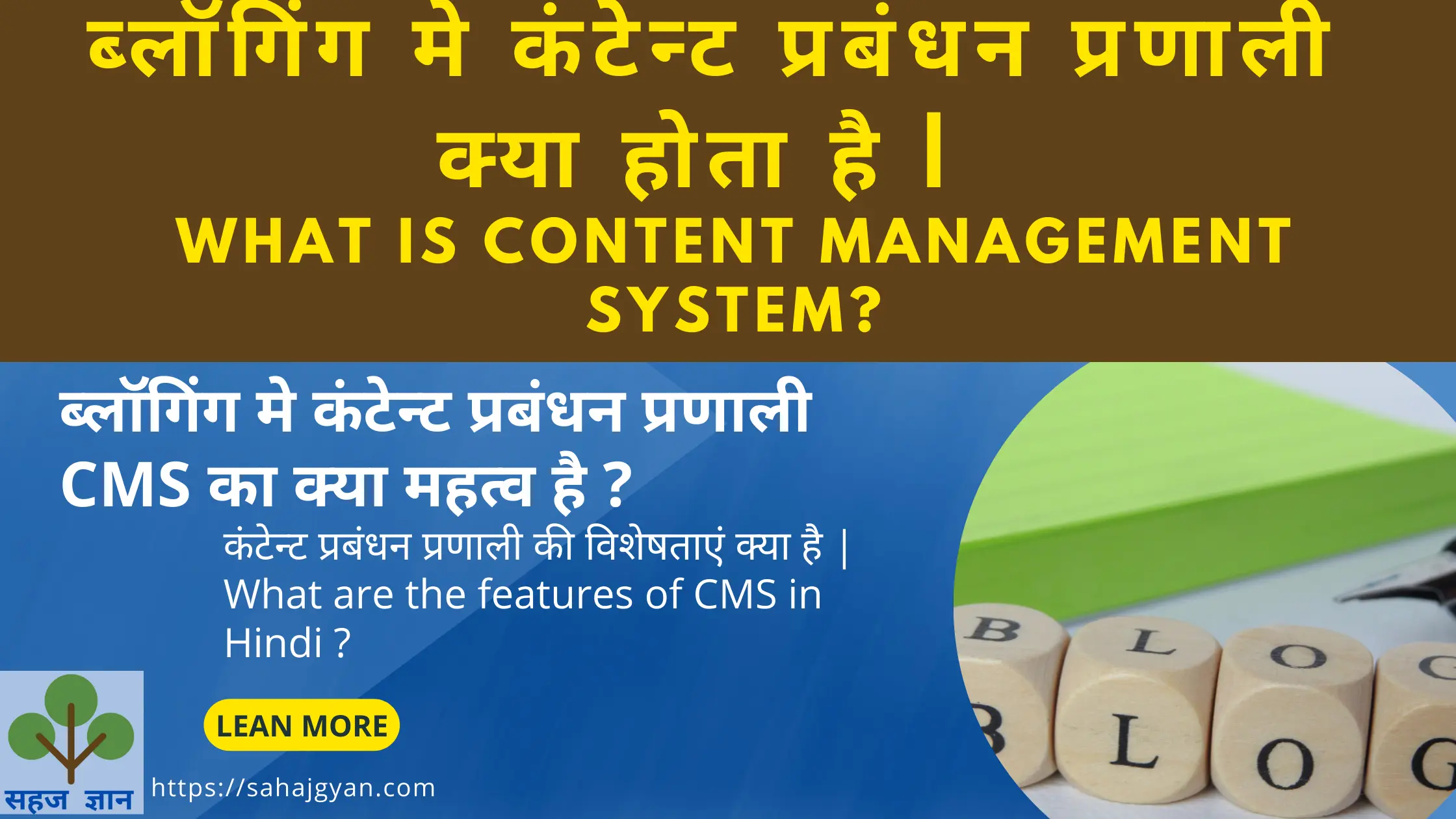 What is content Management System