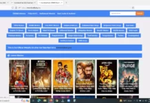 Downloadhub 2022 | 300MB Dual Audio Bollywood Movies Download site क्या है ? Downloadhub
