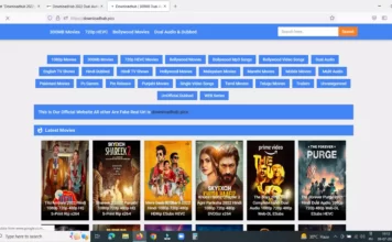 Downloadhub 2022 | 300MB Dual Audio Bollywood Movies Download site क्या है ? Downloadhub
