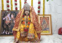 धनतेरस क्यों मनाते है ? Why Dhanteras is celebrated ?